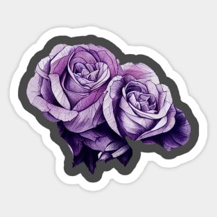 Lilac roses Sticker